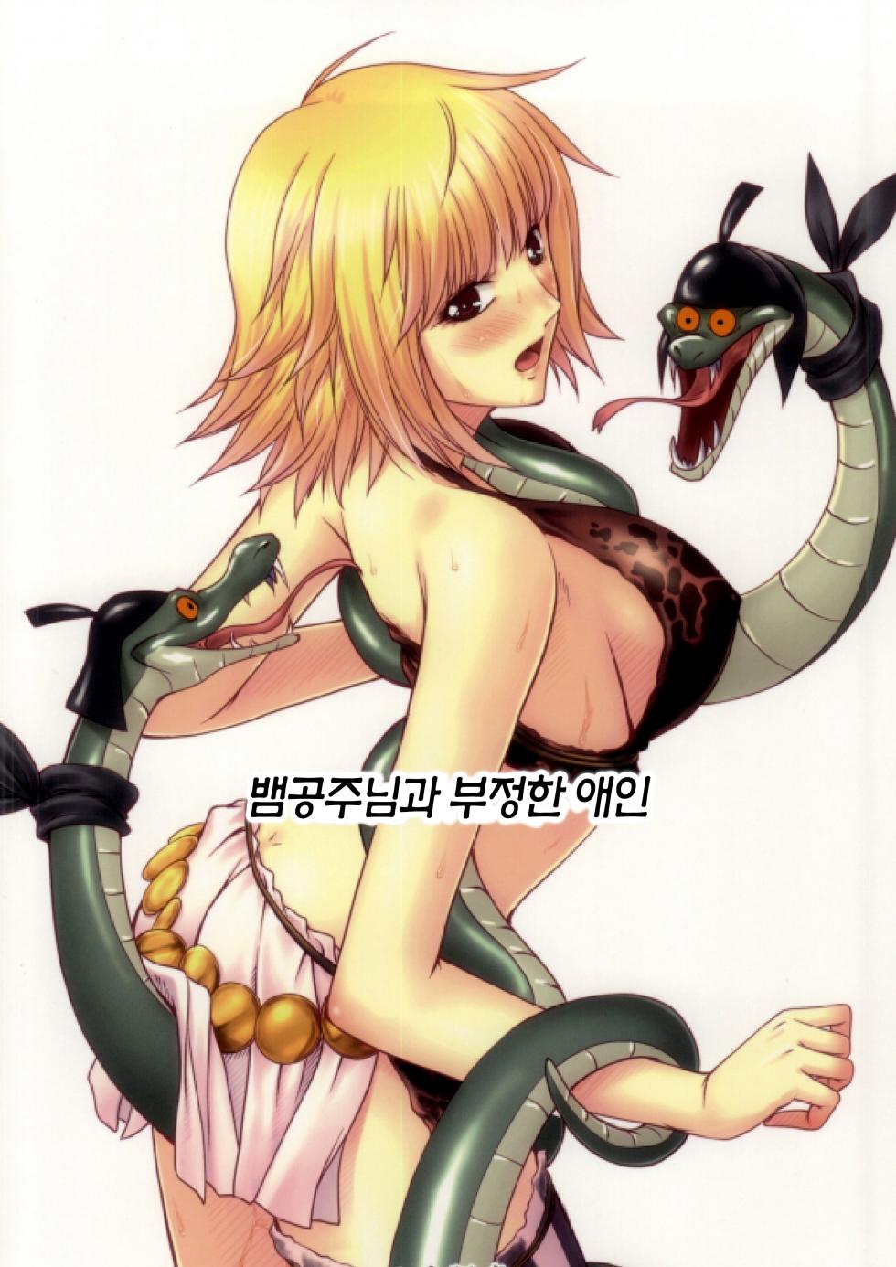 (C84) [Mikenekodou (Muten)] Hebi Hime-sama to Warui Mushi | 뱀공주님과 부정한 애인 (One Piece) [Korean] [이거맛좀봐] - Page 37