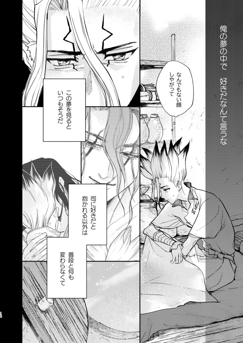 [Yasashii Seinikuten (Sonono)] es (Dr. STONE) [Digital] - Page 12