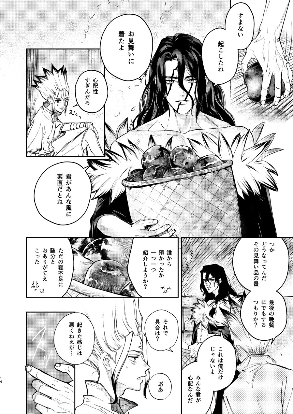 [Yasashii Seinikuten (Sonono)] es (Dr. STONE) [Digital] - Page 14