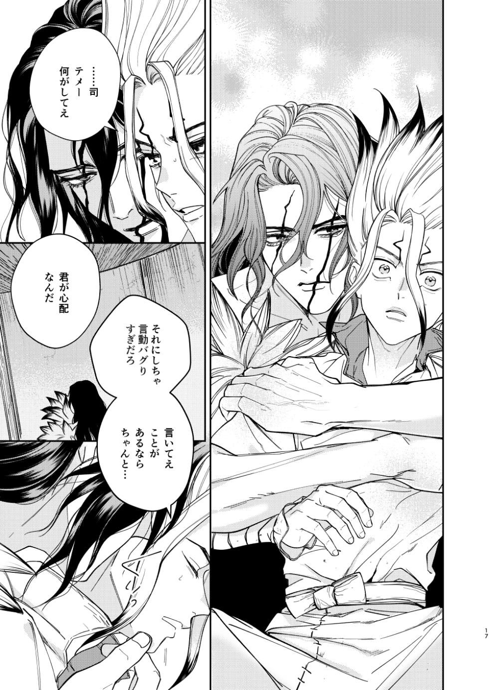 [Yasashii Seinikuten (Sonono)] es (Dr. STONE) [Digital] - Page 17