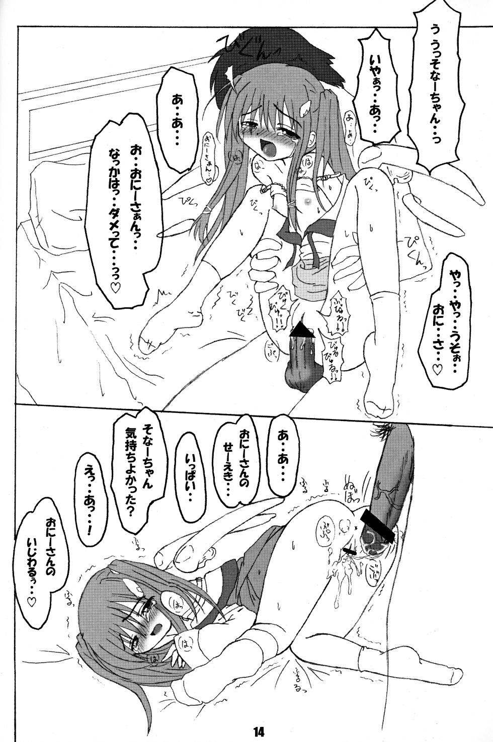 [Schwester (Inasaki Shirau)] Rollin 9 (Ukagaka) - Page 13
