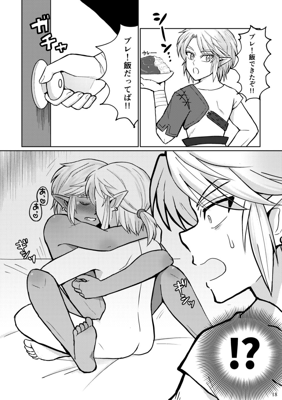 [Mizue] Docchi ga Ookami Nandaka Wakaranai. (The Legend of Zelda) [Digital] - Page 18
