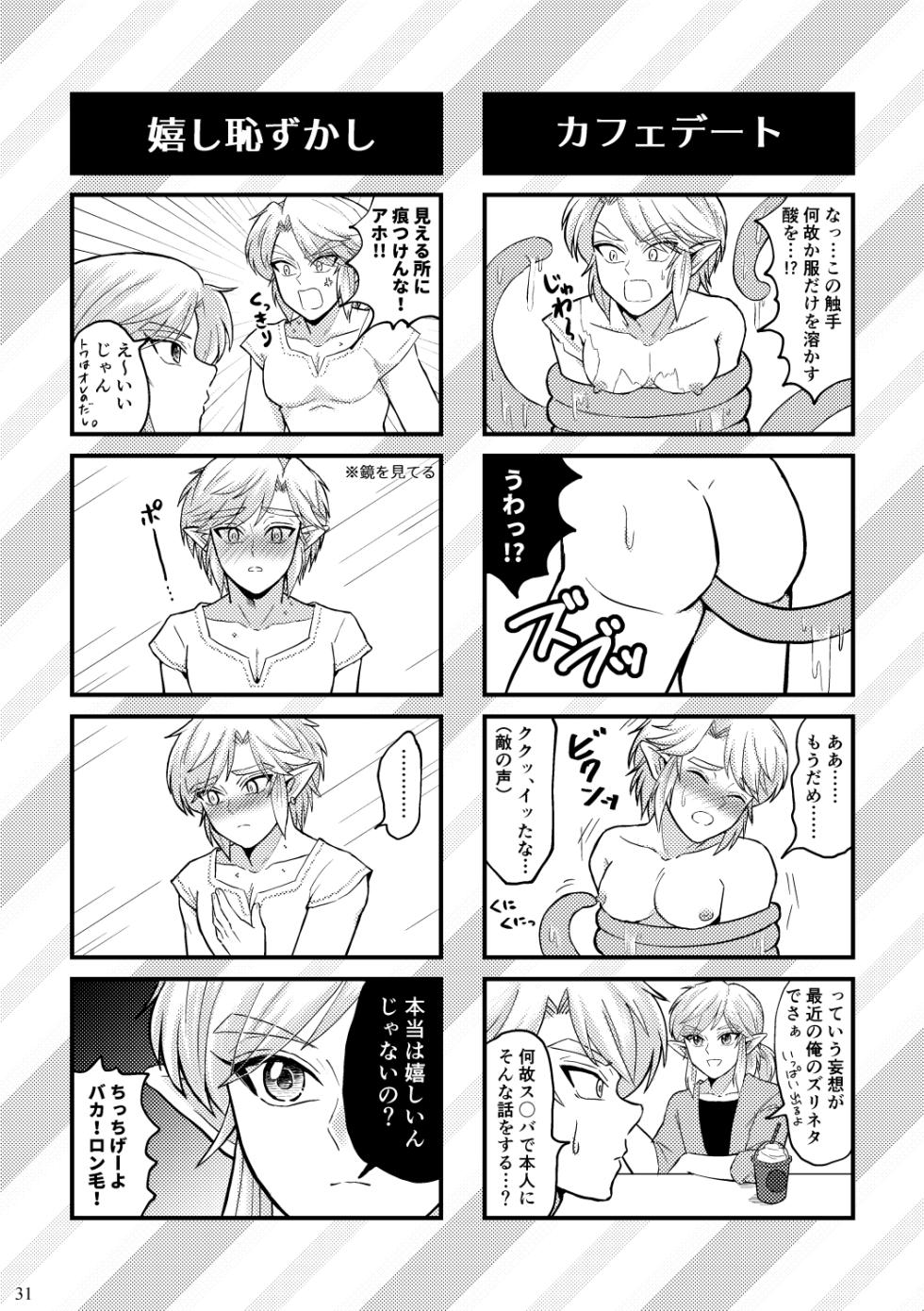 [Mizue] Docchi ga Ookami Nandaka Wakaranai. (The Legend of Zelda) [Digital] - Page 31