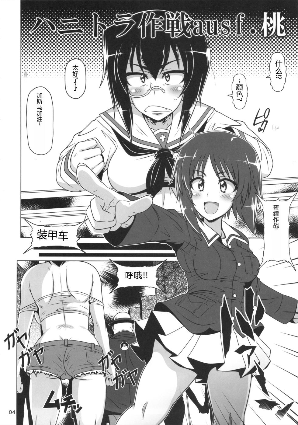 (C91) [Hakueki Syobou (A-Teru Haito)] JAGD Momo-chan II (Girls und Panzer) [Chinese] - Page 3