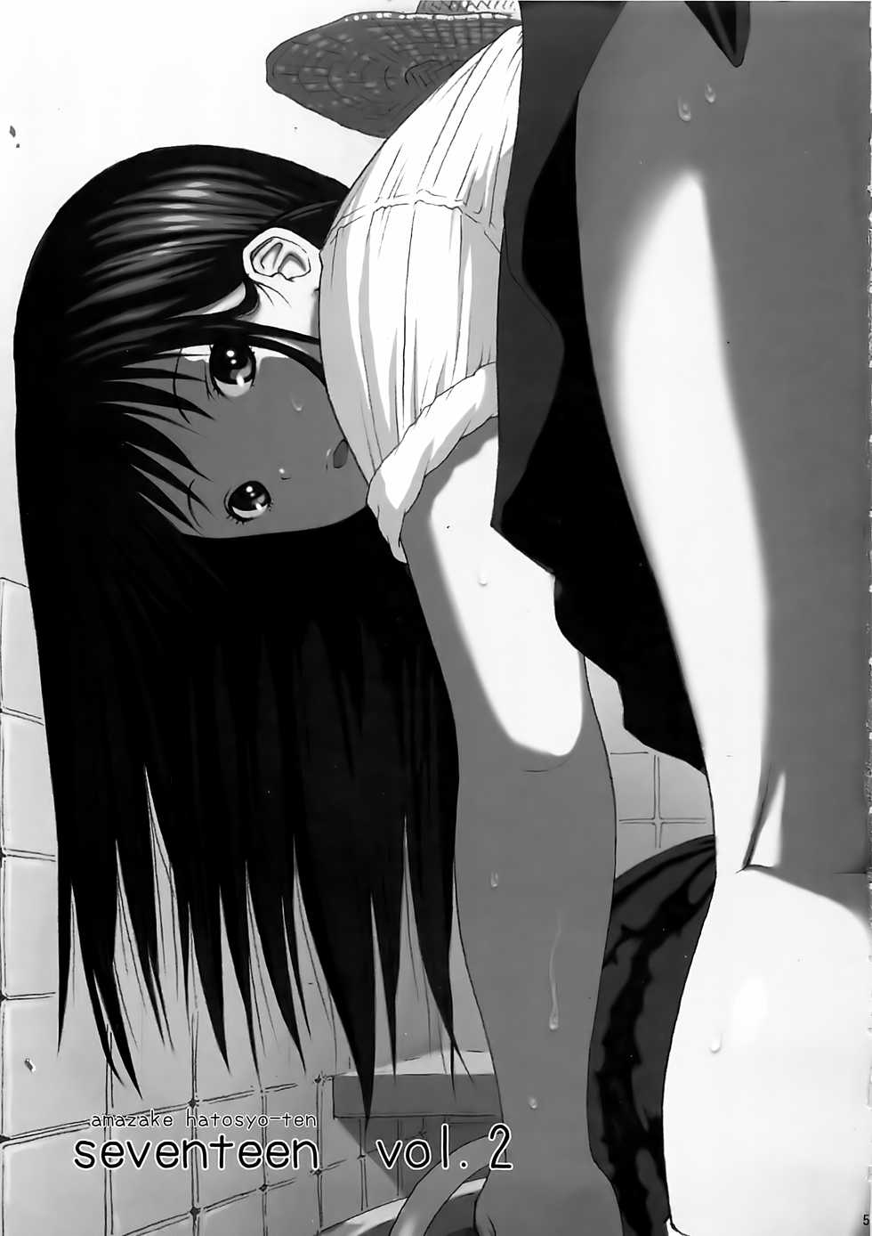 (C78) [Amazake Hatosyo-ten (Yoshu Ohepe)] Seventeen Vol.2 (Ane Doki) - Page 5