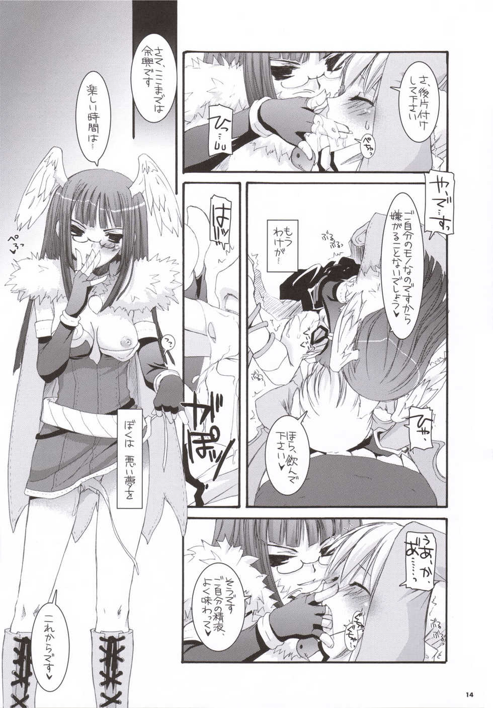 (C69) [Digital Lover (Nakajima Yuka)] D.L. action 34 (Ragnarok Online) - Page 13