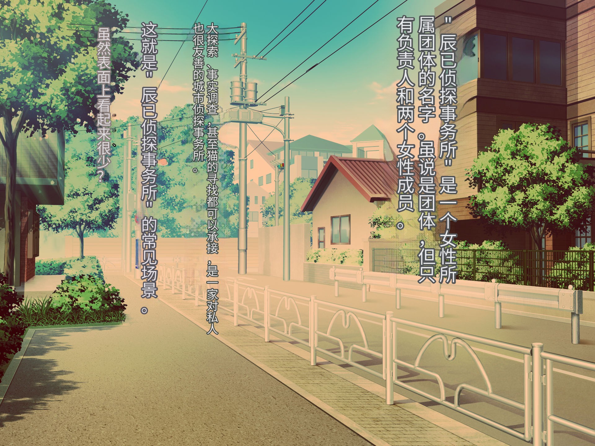 [Hoshii Koubou (Hoshii Girl)] Senyou no Shion -Shinsou Saisei Makyouroku- [Chinese] - Page 12