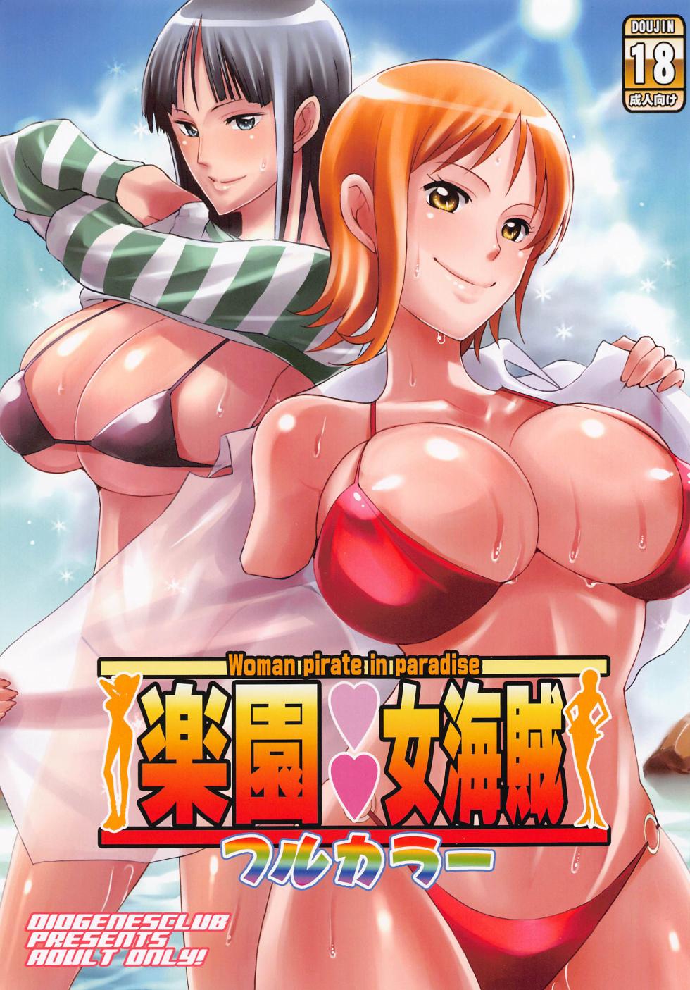 (C101) [Diogenes Club (Haikawa Hemlen)] Rakuen Onna Kaizoku - Woman pirate in paradise Full Color | Women Pirates in Paradise Full Color (One Piece) [English] {Doujins.com} - Page 1