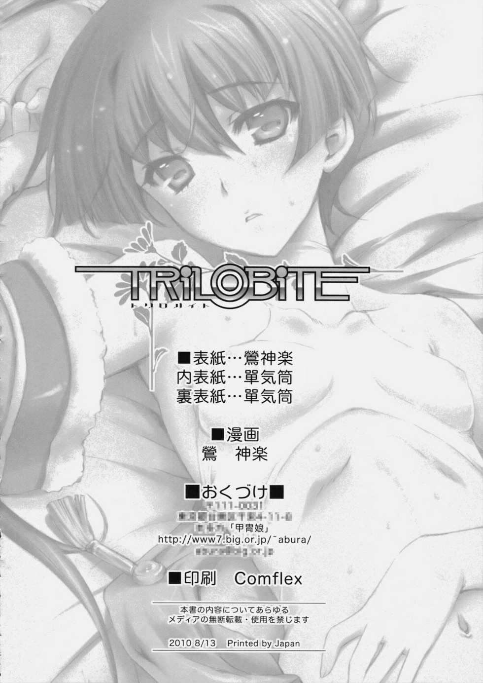 (C78) [Uguisuya (Uguisu Kagura)] TRiLOBiTE (Ar tonelico 3) - Page 3