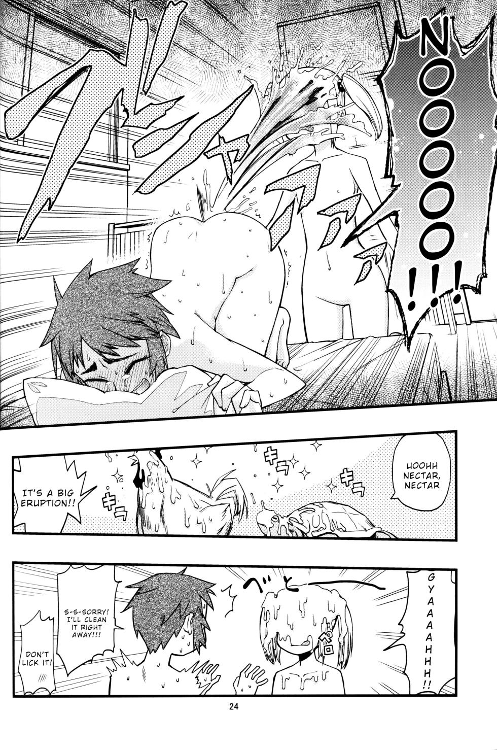 [Kurodenwa (Tonpu)] Hisame Hon (Hoshi no Samidare) [English] [Wrecking Army] [2012-01-29] - Page 23