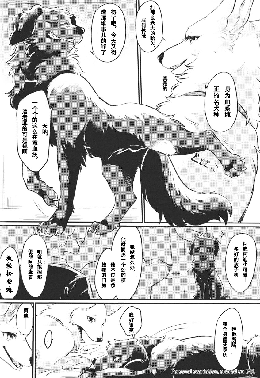 (Kemoket 13) [Kaiten ParaDOGs (Minaga Tsukune)] Hakoniwa Upset | 箱庭之怏 [Chinese] [海豚之涌众筹汉化] - Page 4