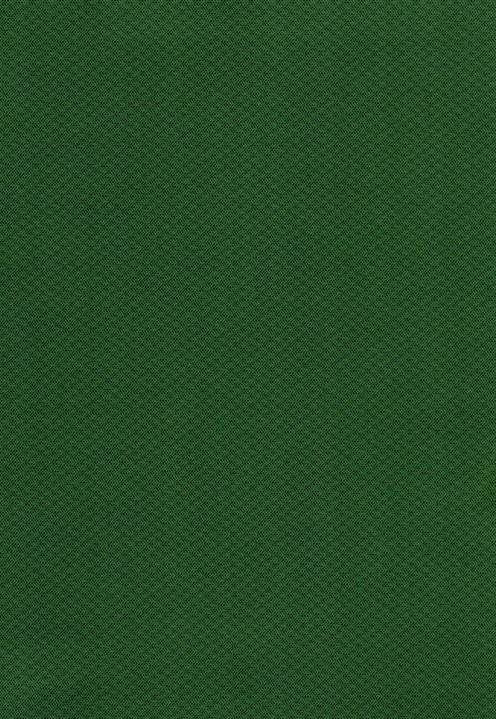 [Inishie no NFK (inishie)] Unmei no Karepi (Final Fantasy II) - Page 2