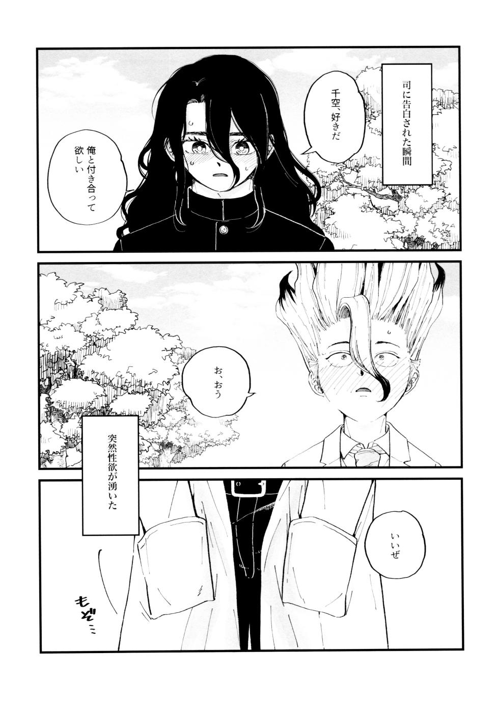 [Totokomachi (Totoko)] Crossdressing Roadmap (Dr.STONE) - Page 23