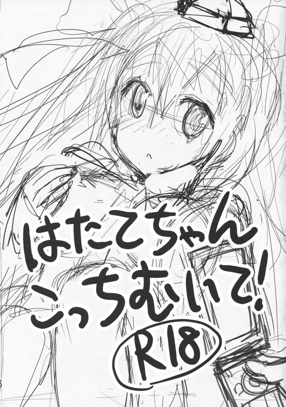 (C78) [gallop (shige)] Hatate-chan Kocchi Muite! (Touhou Project) - Page 2