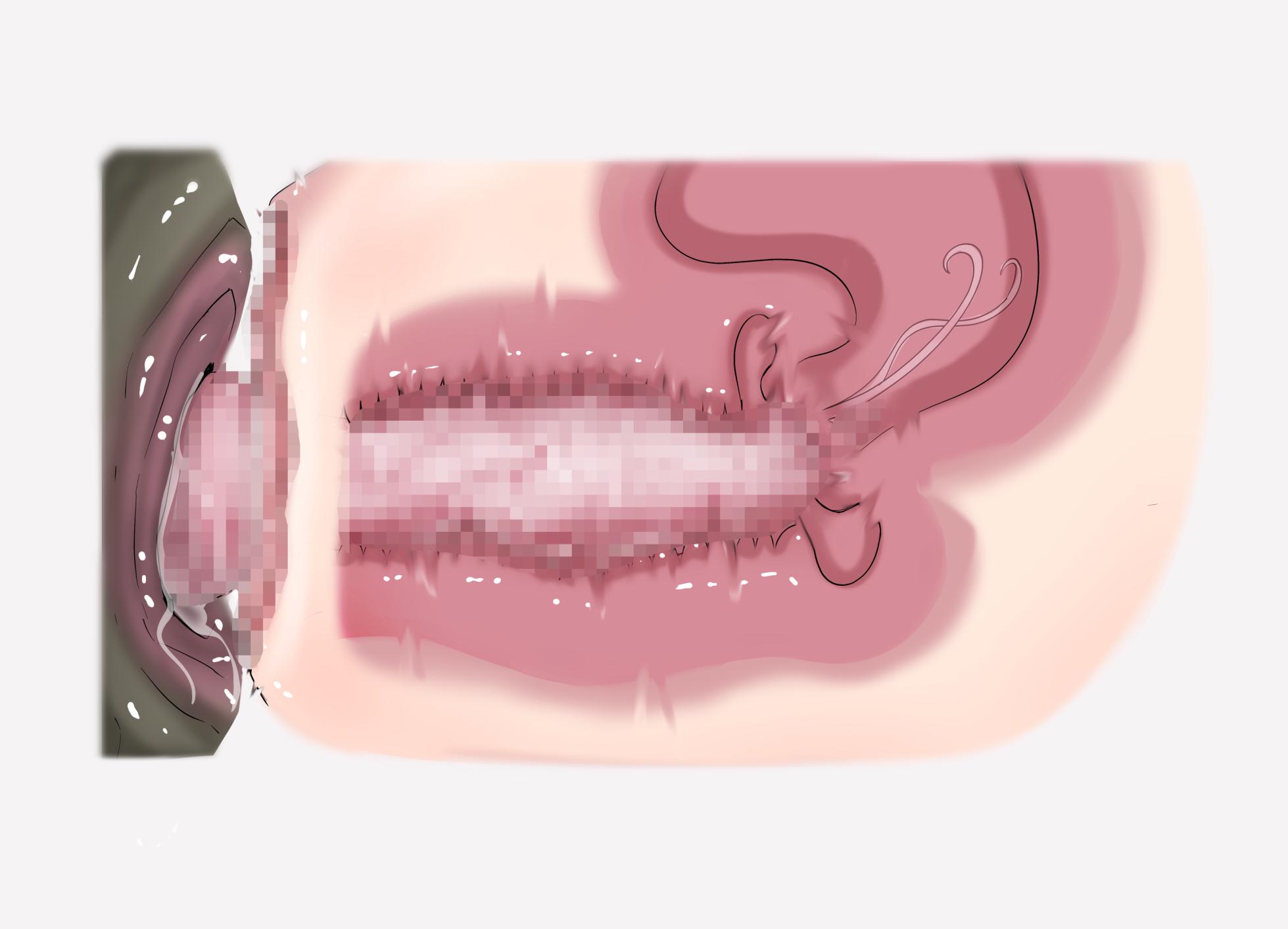 Insect research report No.02 - Page 12