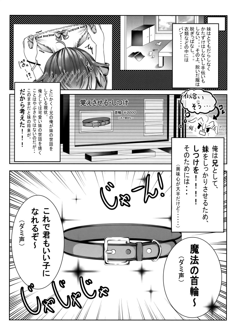 (C96) [Starry calm (Rinna Rika)] Onii-chan wa Imouto o Shitsuketai - Page 4