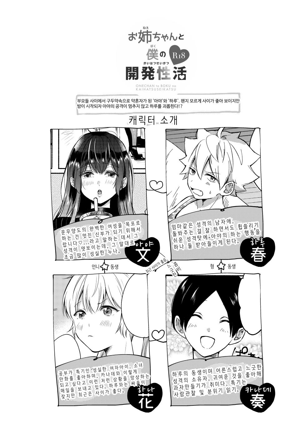 [Chilukuni (Onaka Emi)] Onee-chan to Boku no Kaihatsu Seikatsu Soushuuhen [Korean] [Digital] - Page 6