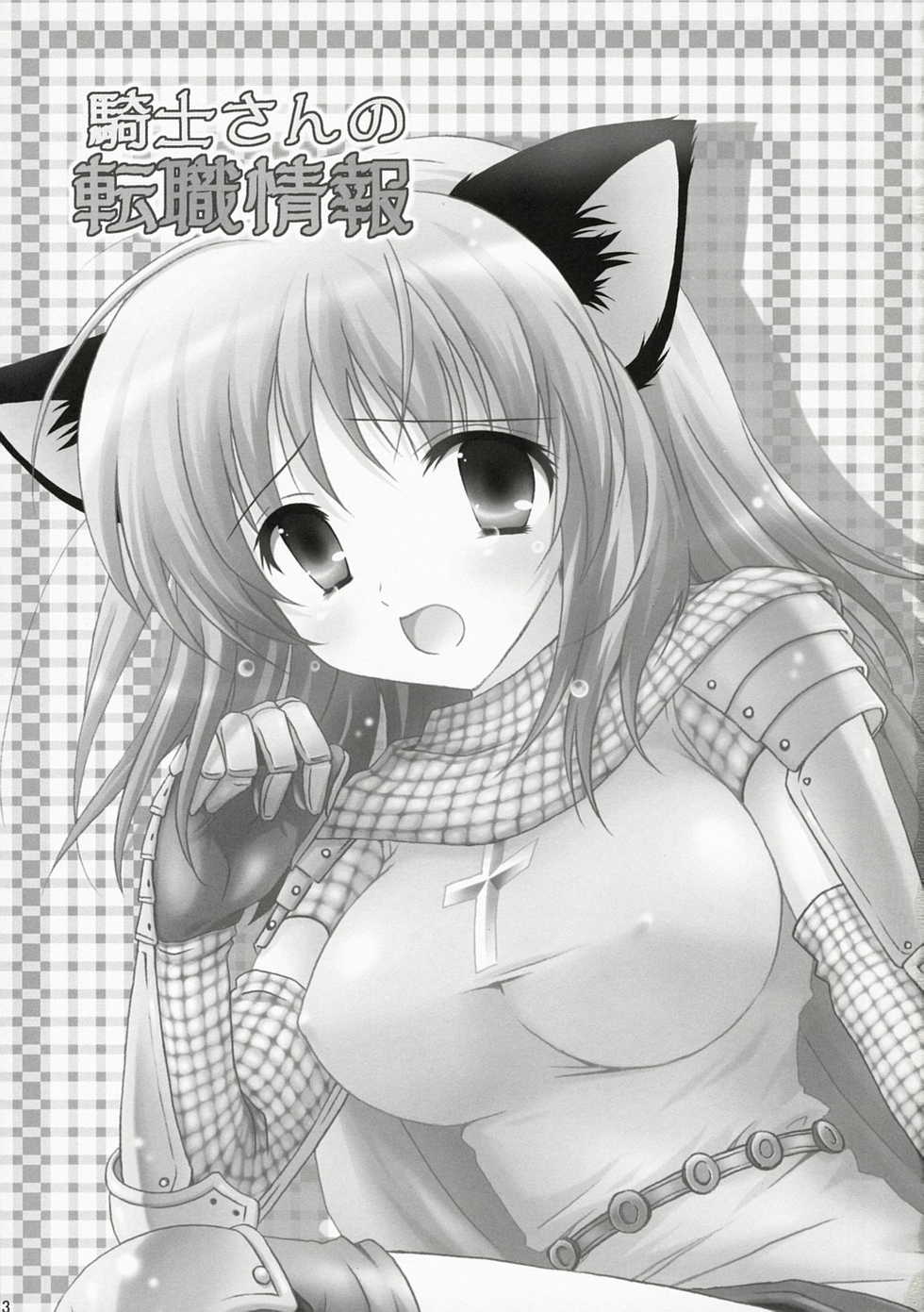 (C72) [Miyumiyu Project (Kanna Satsuki)] Kishi-san no Tenshoku Jouhou (Ragnarok Online) [English] [Slayerjammer] - Page 2