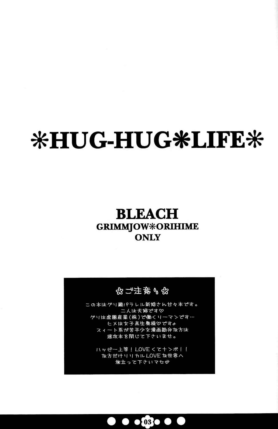 (C72) [Funny Devil (Okada Reimi)] Hug-Hug Life (Bleach) - Page 2