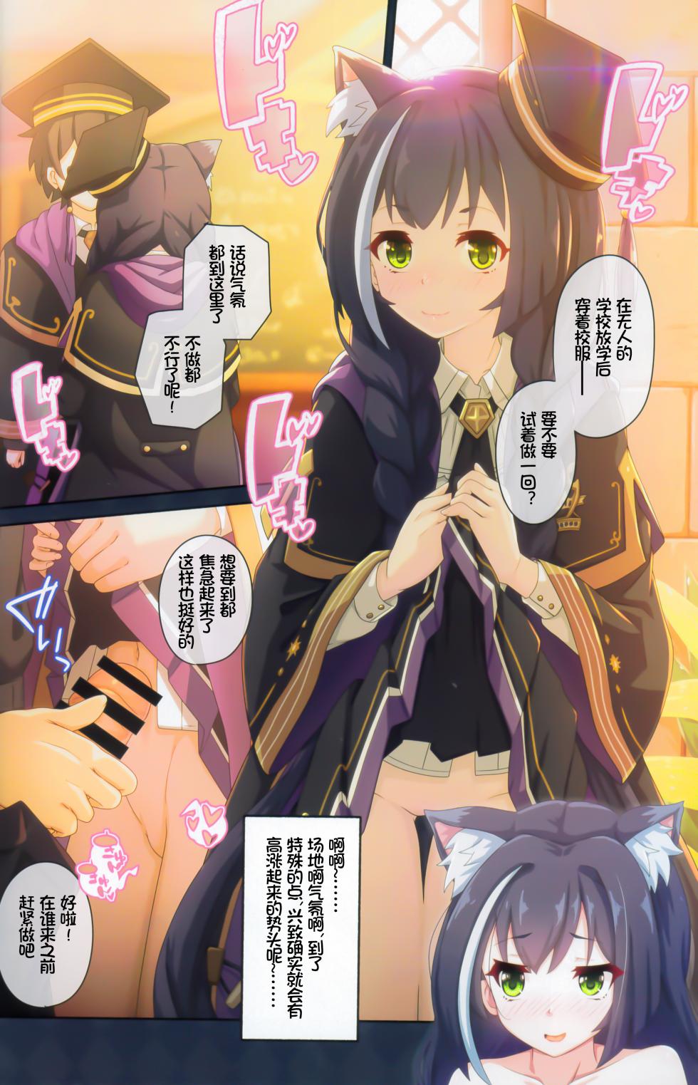 (C103) [MIDDLY (Midorinocha)] Colorful Connect 9th:Dive (Princess Connect! Re:Dive) [Chinese] [影子van个人汉化] - Page 19