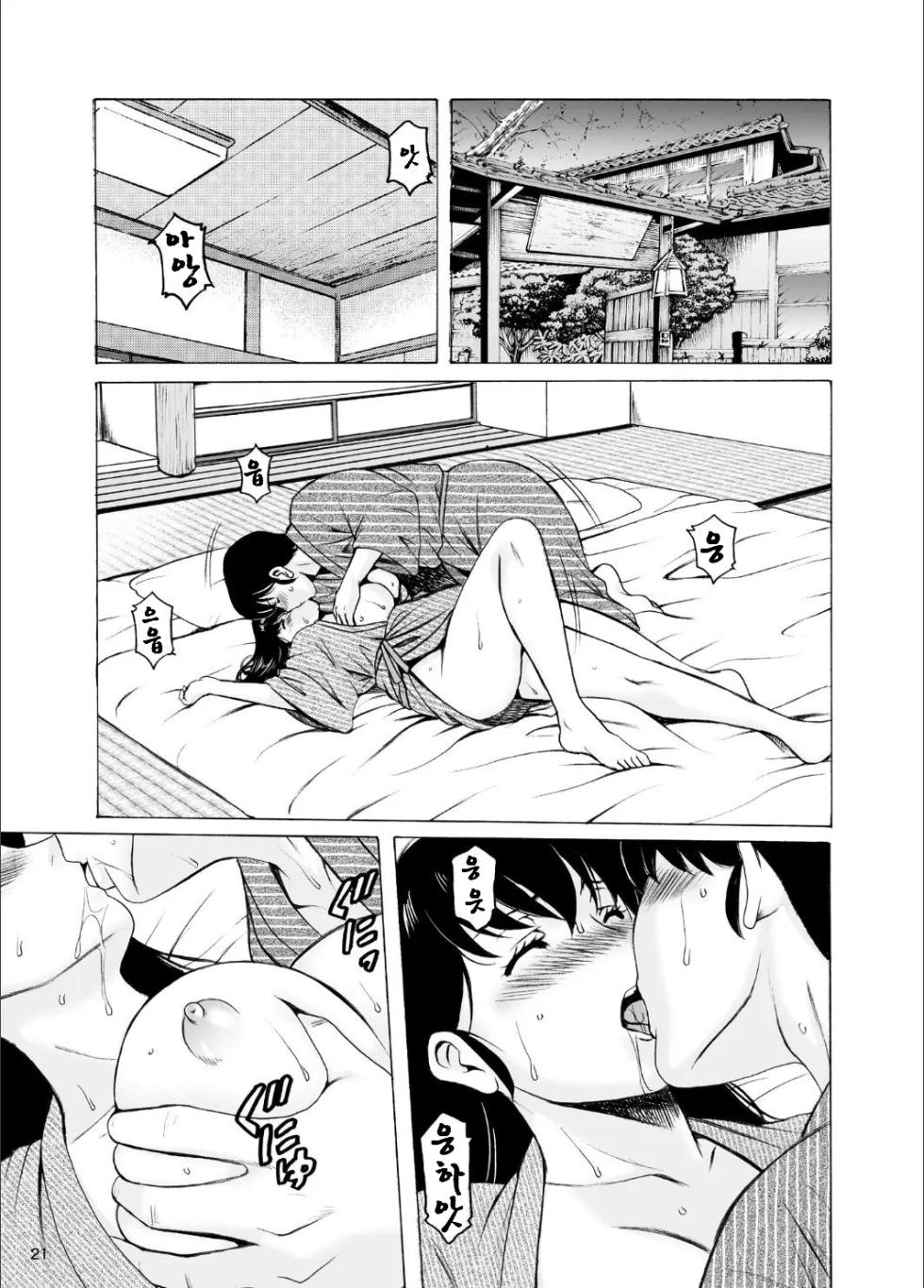 [Syouryu Yasui-Kai (Hoshino Ryuichi)] Hitozuma Kanrinin Kyouko 10 Kanketsu Hen 1 (Maison Ikkoku) [Korean] - Page 21