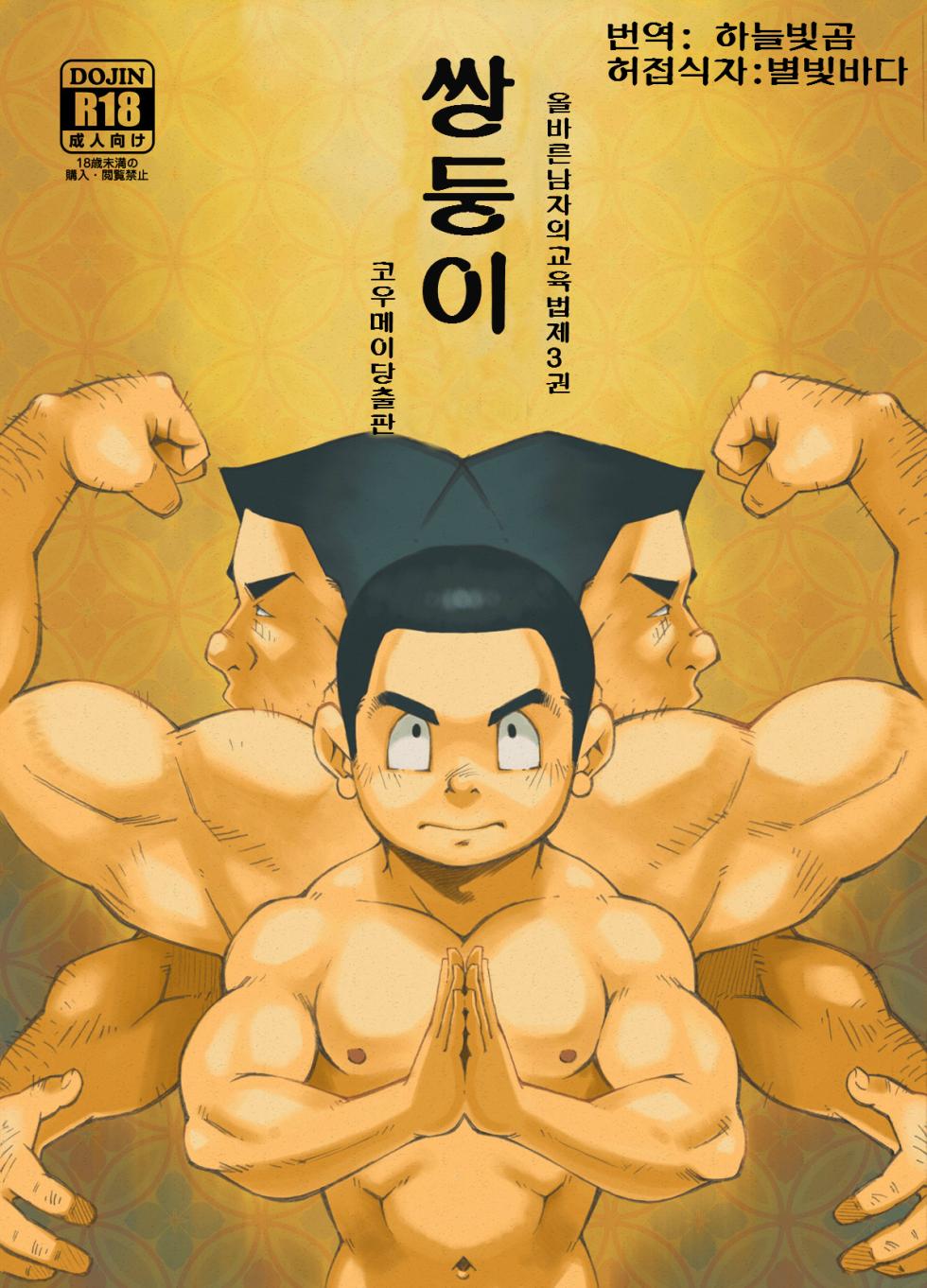 [KOWMEIISM (Kasai Kowmei)] Tadashii Danshi no Kyouren Hou (San) Sousaiji | 올바른 남자의 교육법 3 쌍둥이 [Korean] [Digital] - Page 1