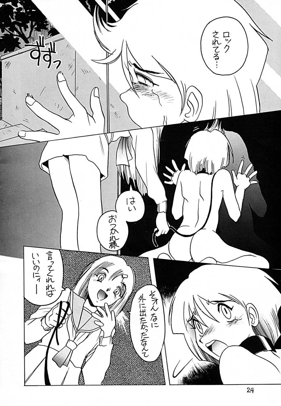 [Studio309 (Horimoto Akira) Dynamic Lolita Library CE2.0　 - Page 23