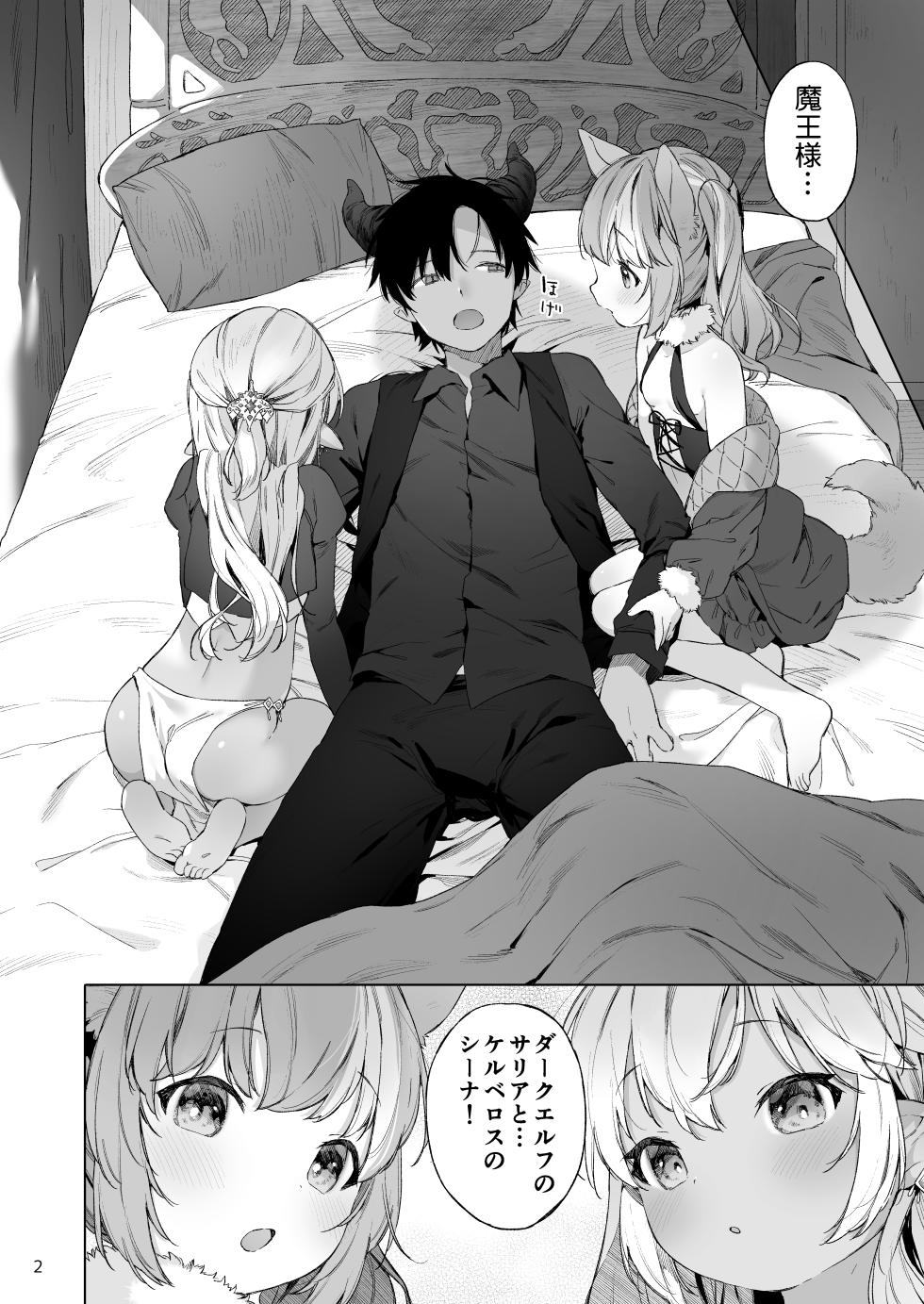 [ANCHOR (Mutou Mato)] Maou-sama! Mazoku Fukkatsu ni wa Kozukuri shika Arimasen! [Digital] - Page 3