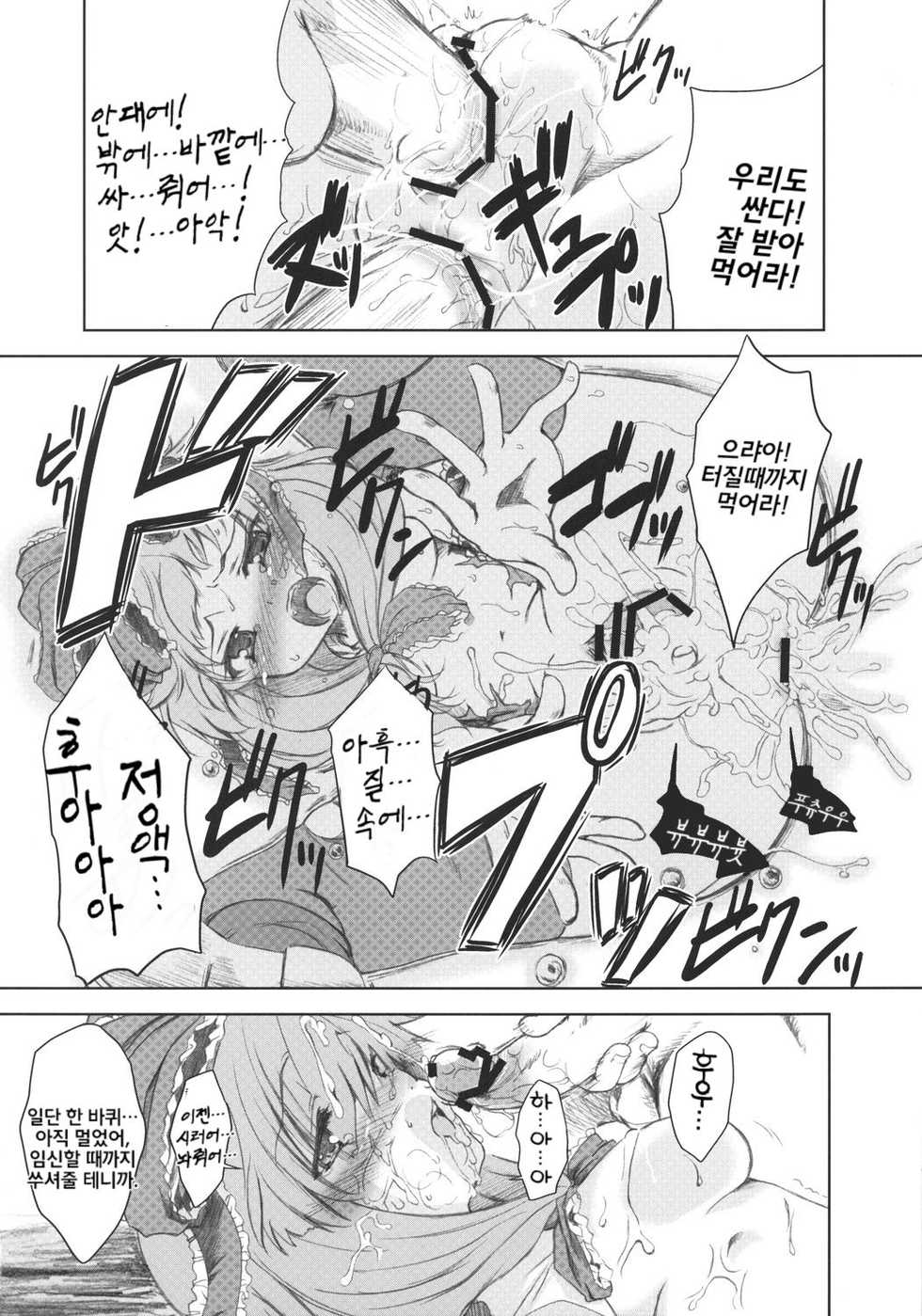 (Reitaisai 5) [Yumemi Gokochi (Mikage Baku)] V ~ANOTHER~ (Touhou Project) [Korean] [팀 면갤] - Page 16