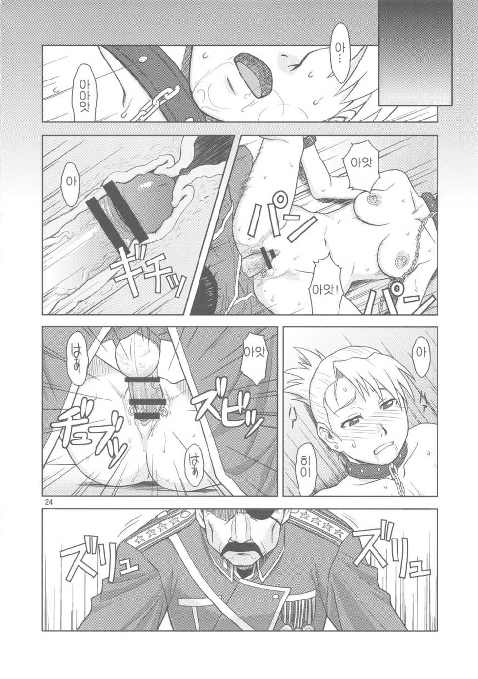 (C78) [AZASUKEWIND (Azasuke)] SLAVE SECRETARY (Full Metal Alchemist) [Korean] - Page 23