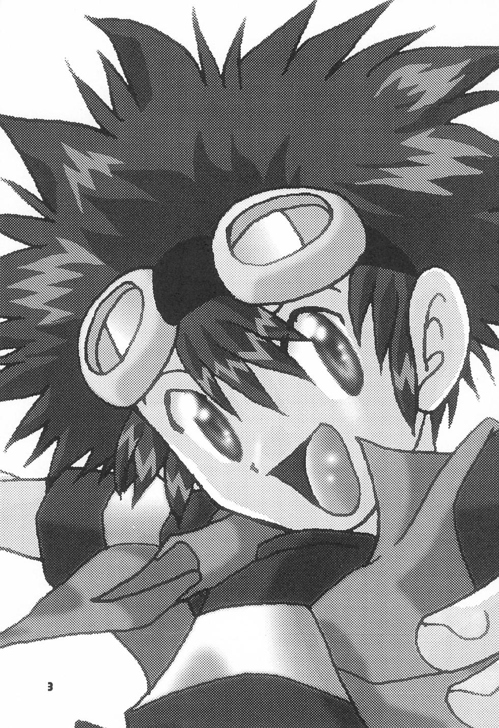 [Modimodiya (Akutsu Hideyuki)] Between ourselves (Digimon Adventure 02) - Page 3
