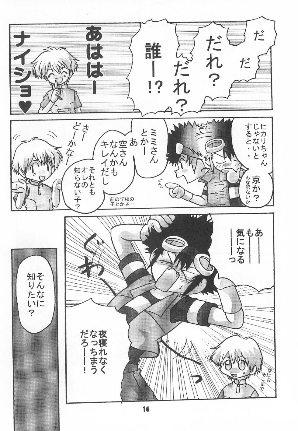 [Modimodiya (Akutsu Hideyuki)] Between ourselves (Digimon Adventure 02) - Page 14