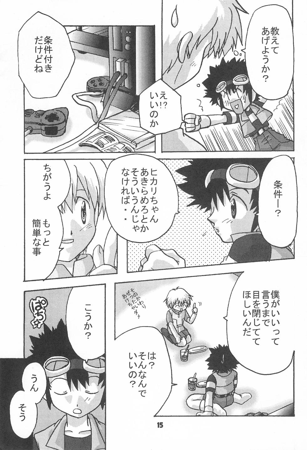 [Modimodiya (Akutsu Hideyuki)] Between ourselves (Digimon Adventure 02) - Page 15