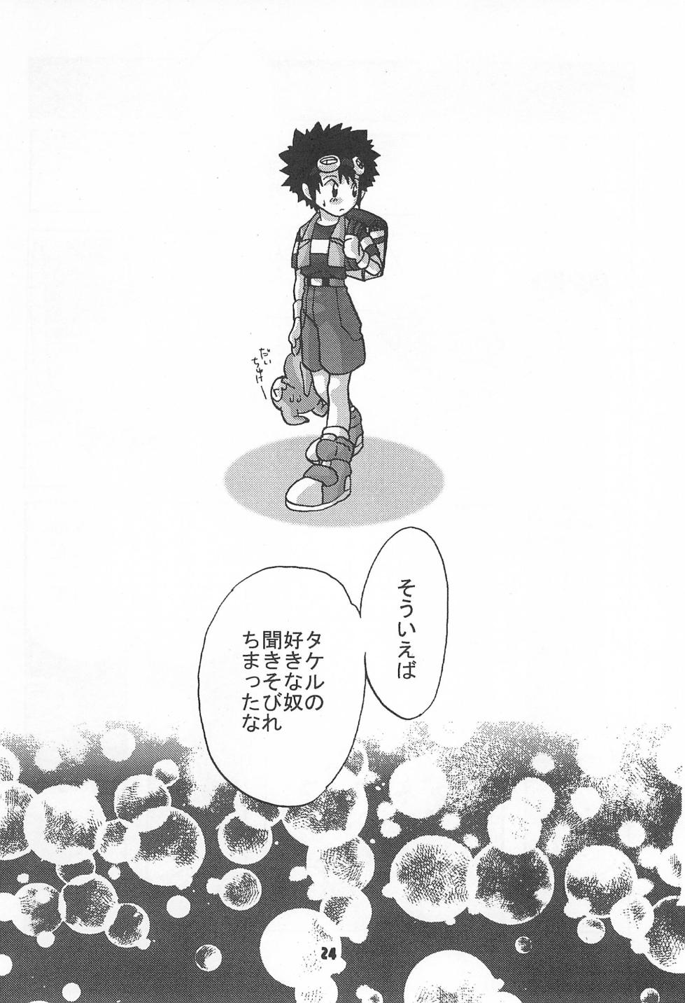 [Modimodiya (Akutsu Hideyuki)] Between ourselves (Digimon Adventure 02) - Page 24