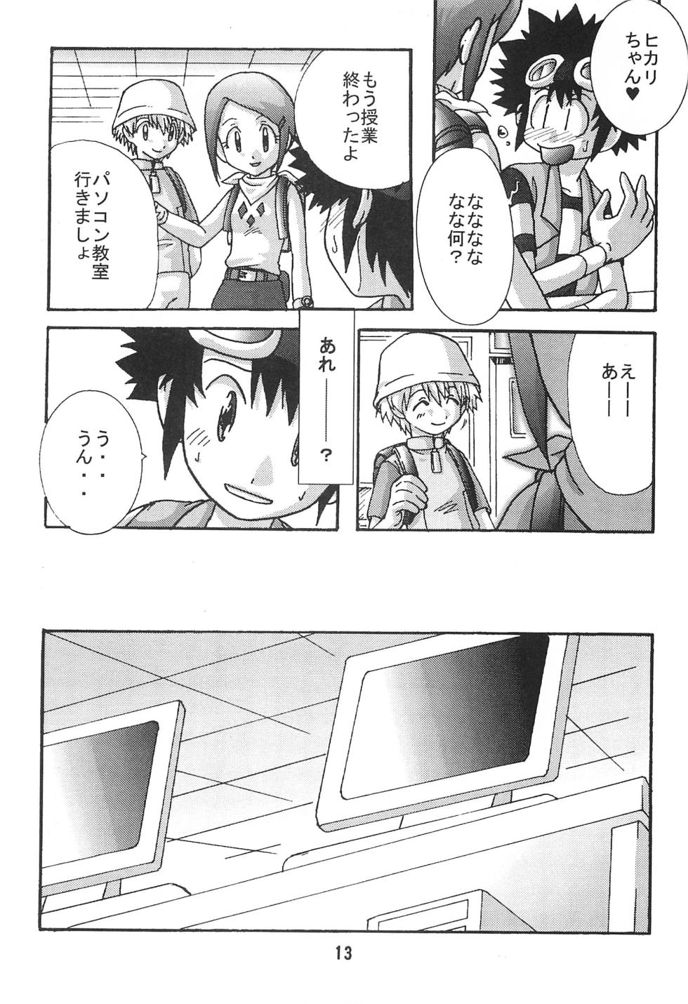 [Modimodiya (Akutsu Hideyuki)] SUBTLE RELATION (Digimon Adventure 02) - Page 13