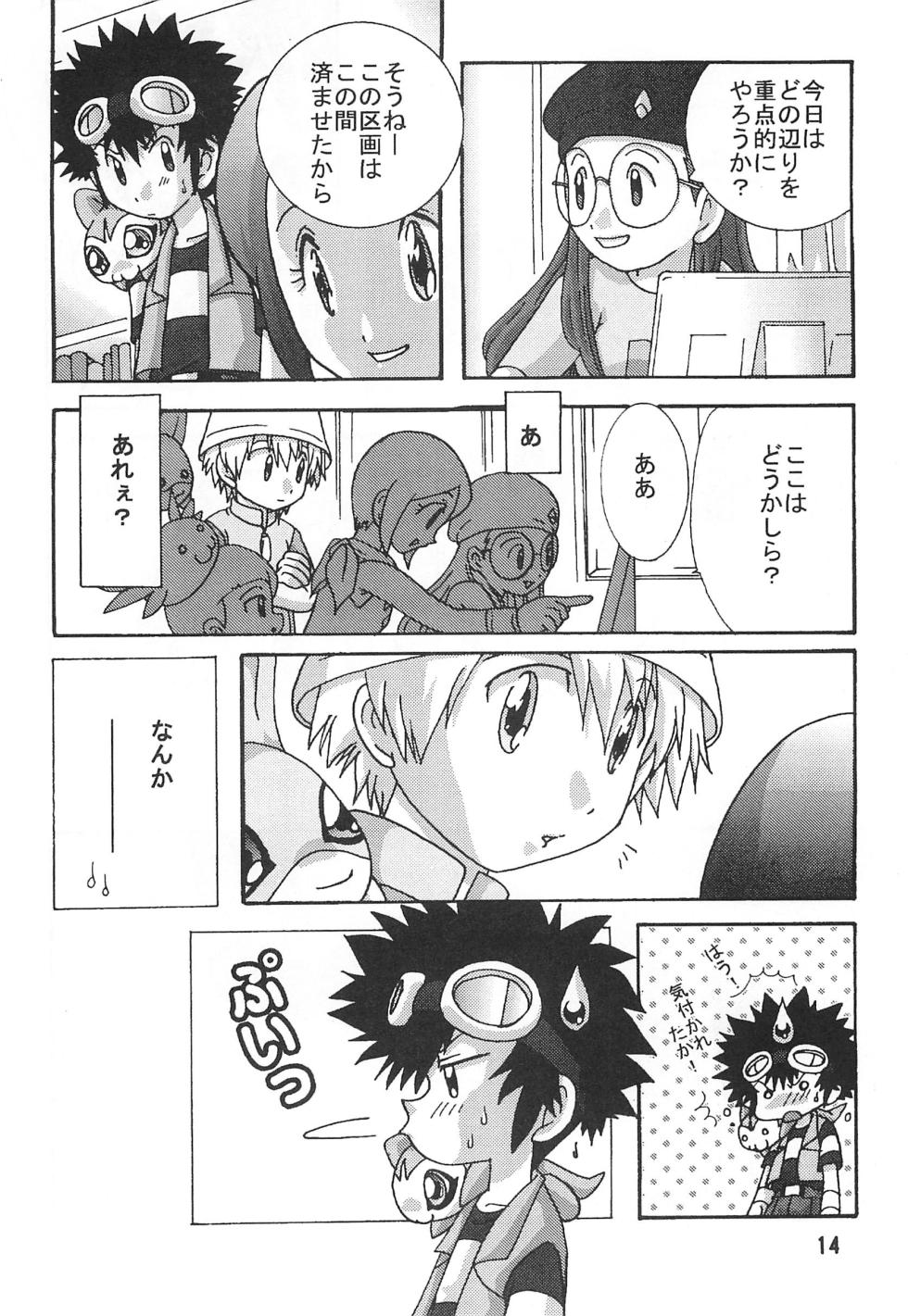 [Modimodiya (Akutsu Hideyuki)] SUBTLE RELATION (Digimon Adventure 02) - Page 14