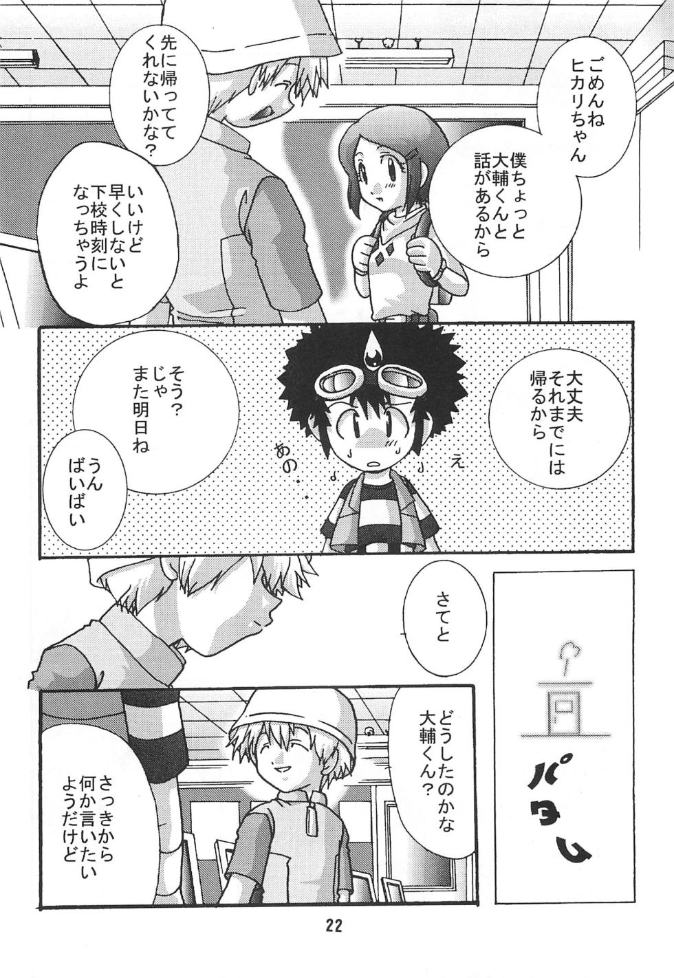 [Modimodiya (Akutsu Hideyuki)] SUBTLE RELATION (Digimon Adventure 02) - Page 22