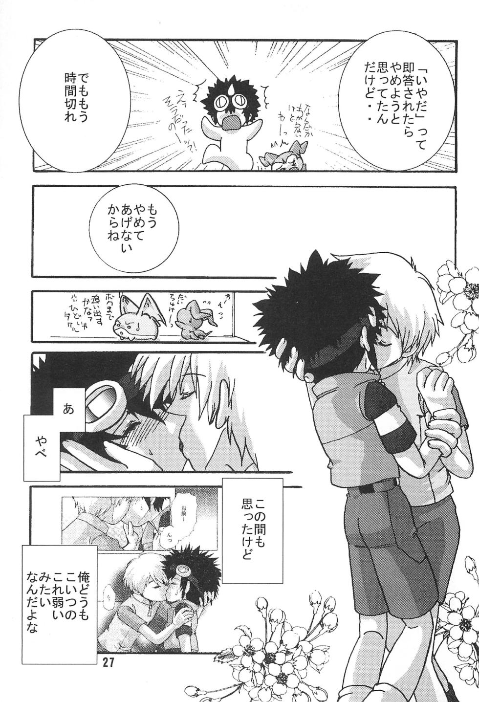 [Modimodiya (Akutsu Hideyuki)] SUBTLE RELATION (Digimon Adventure 02) - Page 27