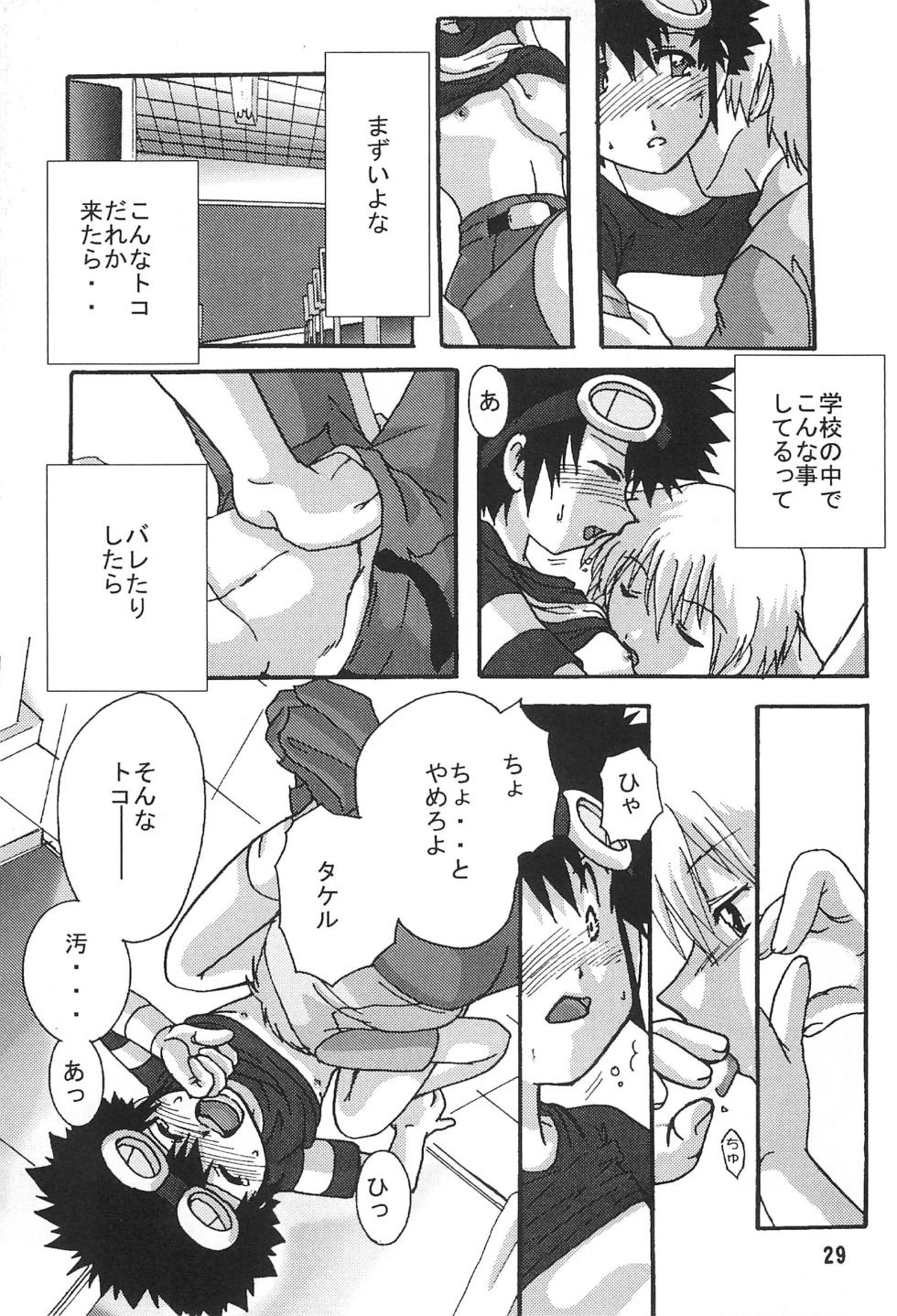[Modimodiya (Akutsu Hideyuki)] SUBTLE RELATION (Digimon Adventure 02) - Page 29