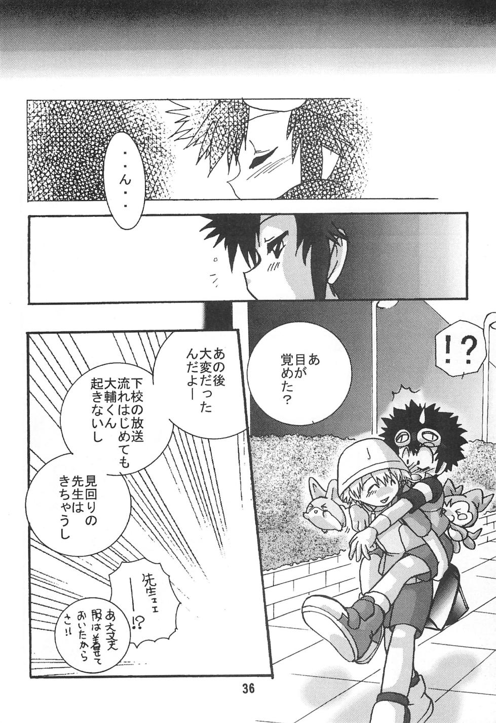 [Modimodiya (Akutsu Hideyuki)] SUBTLE RELATION (Digimon Adventure 02) - Page 36