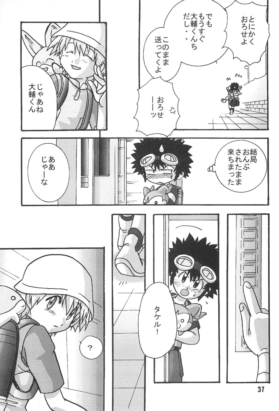[Modimodiya (Akutsu Hideyuki)] SUBTLE RELATION (Digimon Adventure 02) - Page 37