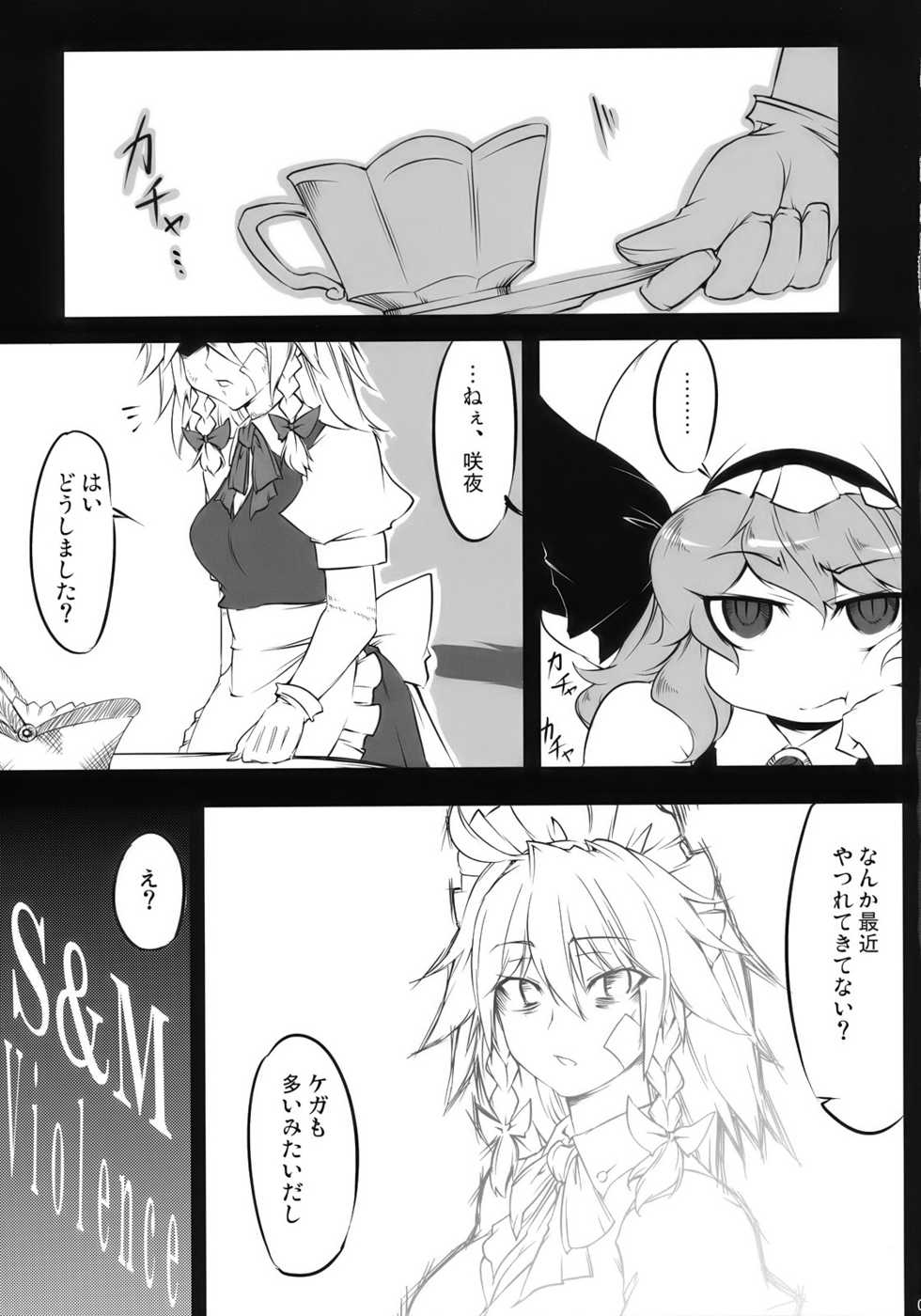 (C78) [BURUMAN (Tajima Yuki)] S&M Violence (Touhou Project) - Page 5