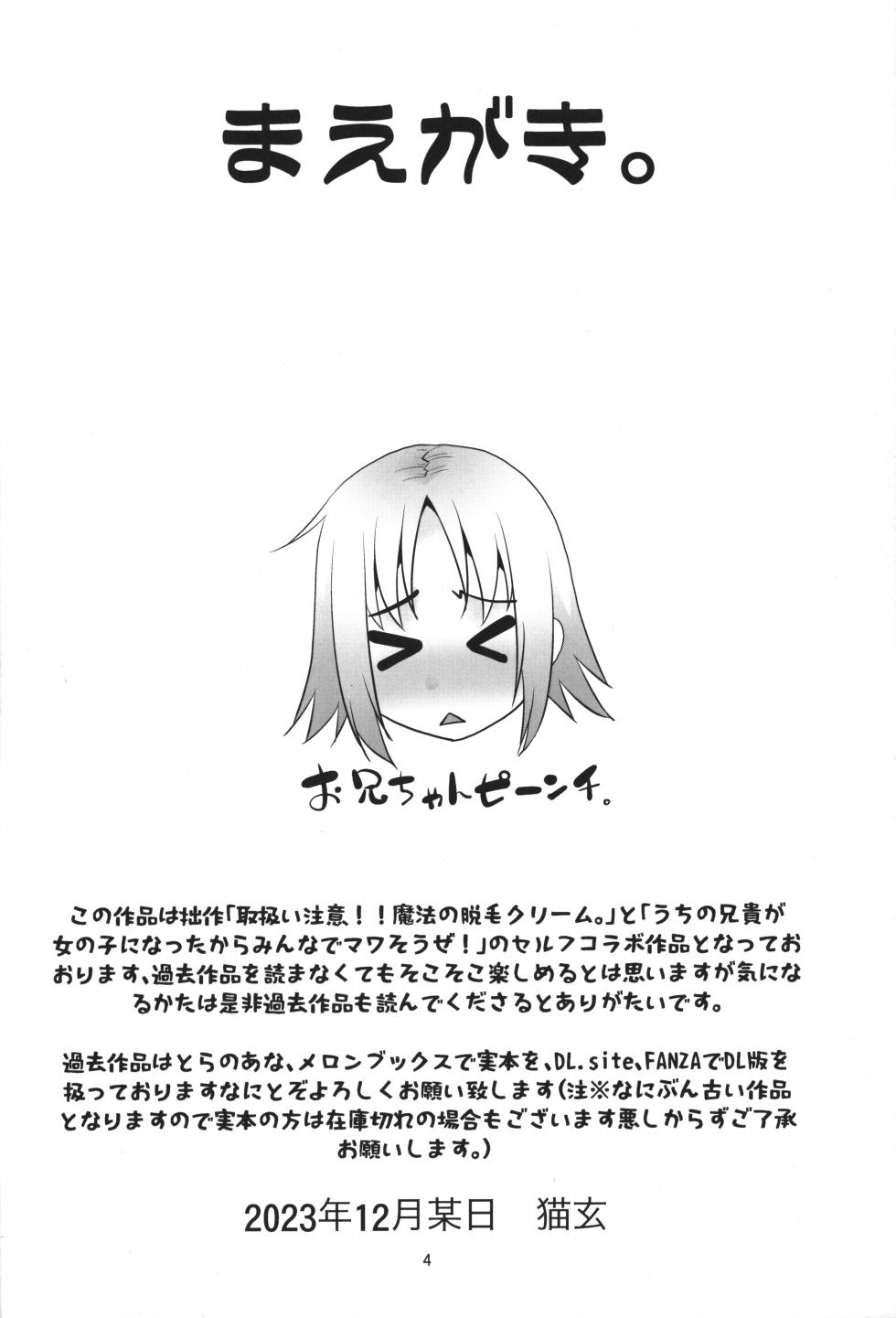 (C103) [T.4.P (Nekogen)] Onii-chan vs Yankee - Page 3