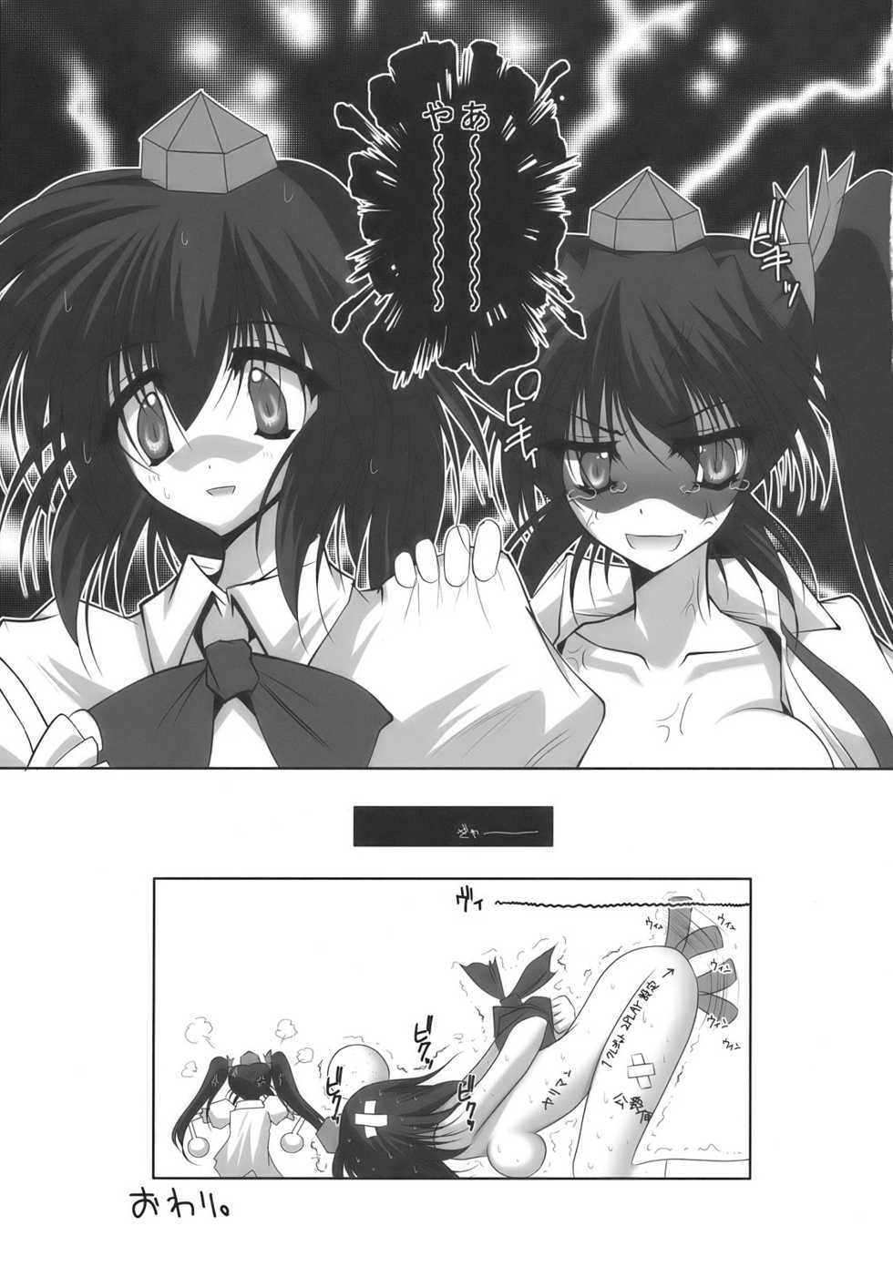 [Danshaku Ryou (Danshaku)] Hatate-chan Hoshigaru wa (Touhou Project) - Page 27