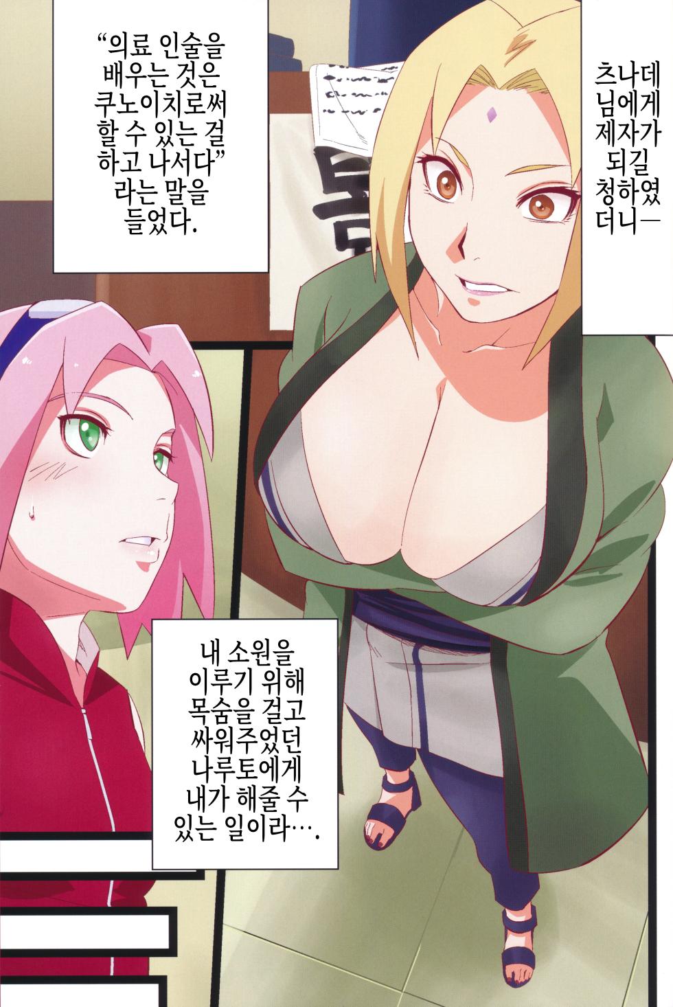 (C103) [Karakishi Youhei-dan Shinga (Sahara Wataru)] NARUTOP PINK (Naruto) [Korean] [실루엣21] - Page 2