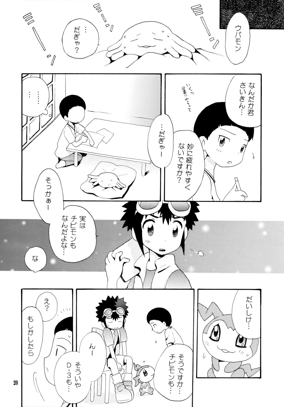 [Kuruguru DNA (Hilo Hoshiai)] Yorokobi mo Kanashimi mo Ikutoshitsuki (Digimon Adventure 02) - Page 19