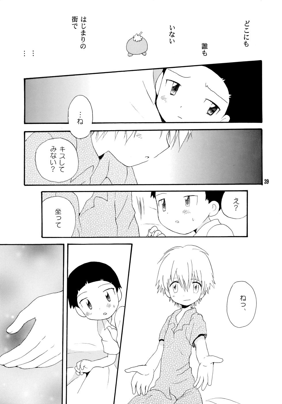 [Kuruguru DNA (Hilo Hoshiai)] Yorokobi mo Kanashimi mo Ikutoshitsuki (Digimon Adventure 02) - Page 38