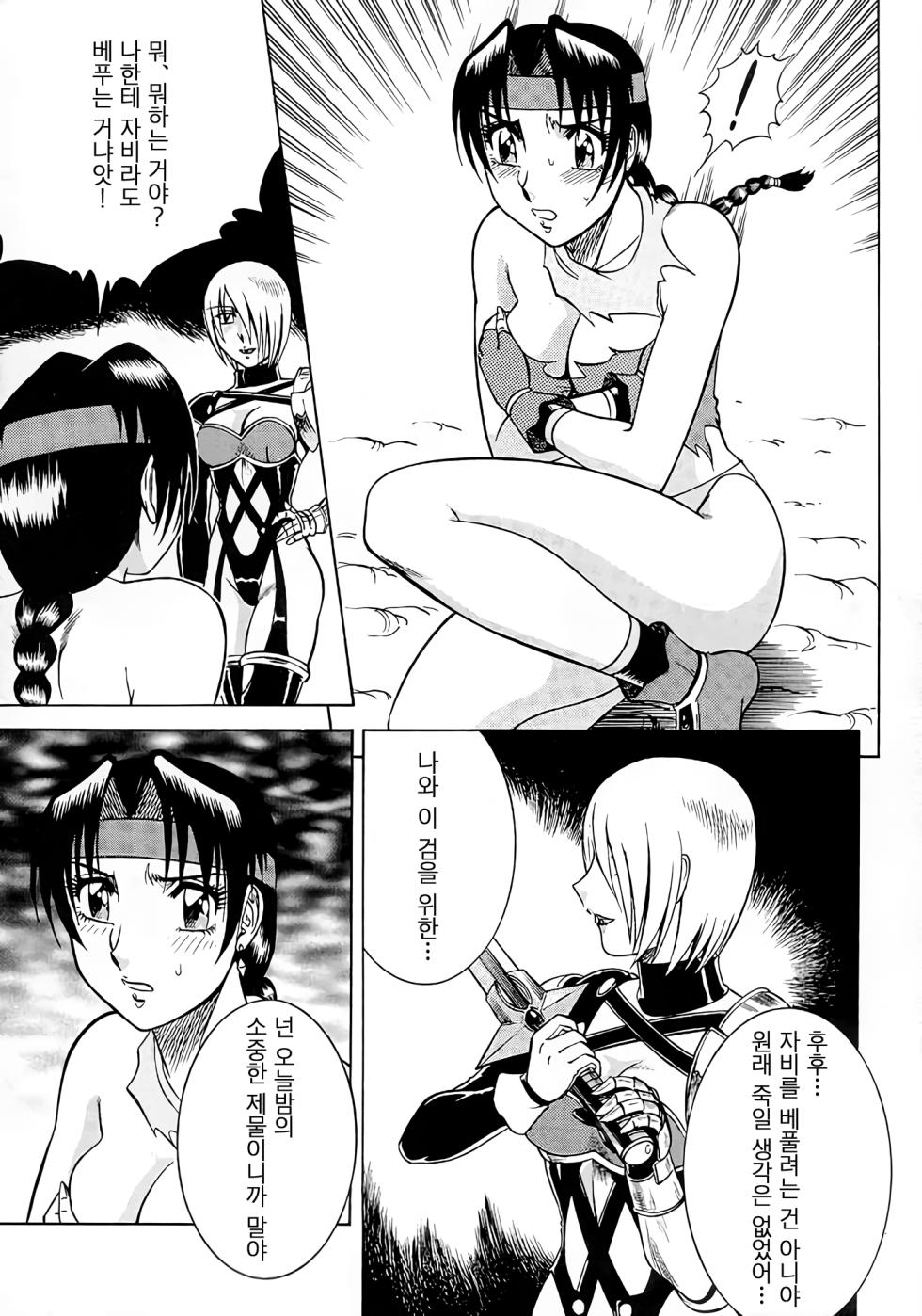 (C56) [Circle Taihei-Tengoku (Aratamaru)] NIGHT HEAD 9 (SOULCALIBUR) [Korean] - Page 12