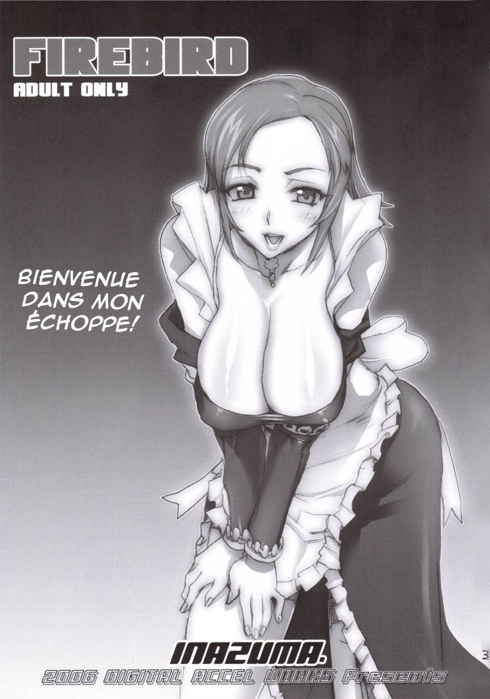 (SC30) [DIGITAL ACCEL WORKS (INAZUMA.)] FIREBIRD (SOULCALIBUR) [French] - Page 2