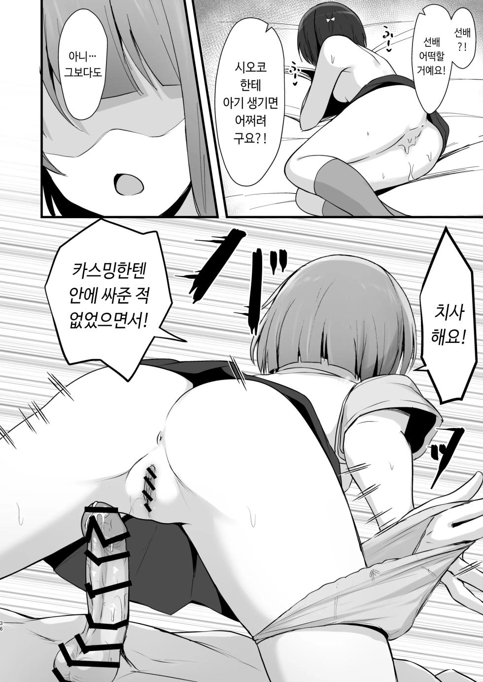 [Toyasuaina (Toyasu Aina)] Shioriko Kasumi Paradigm | 시오리코 카스미 패러다임 (Love Live! Nijigasaki High School Idol Club) [Korean] [Digital] - Page 35
